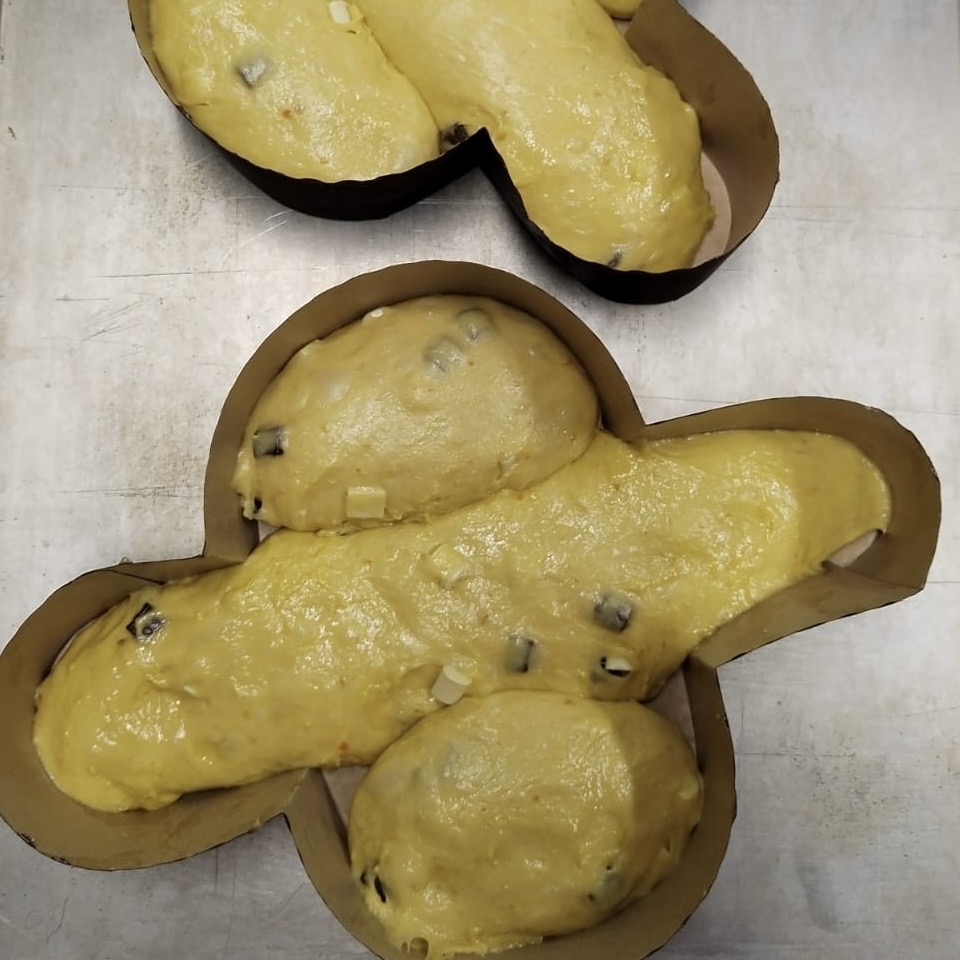 COLOMBE AGNA